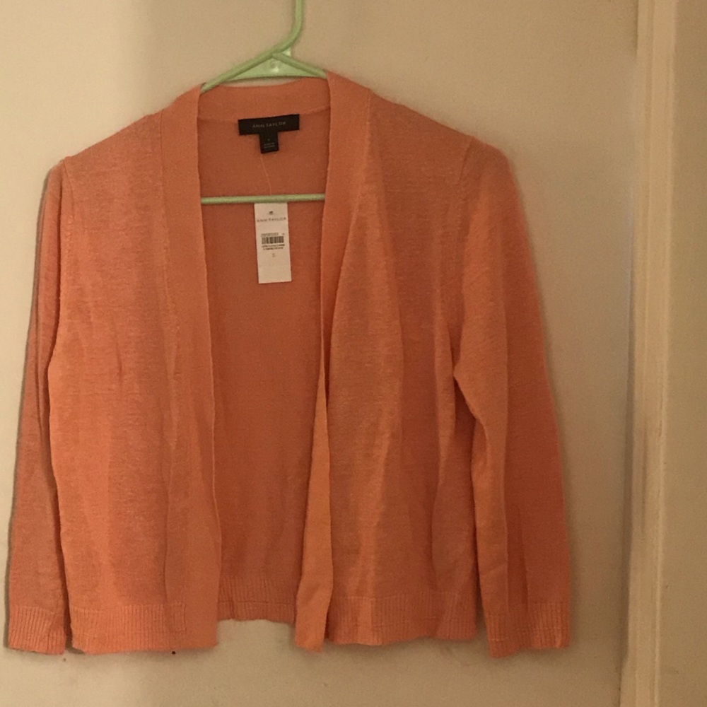 Ann Taylor sweater.